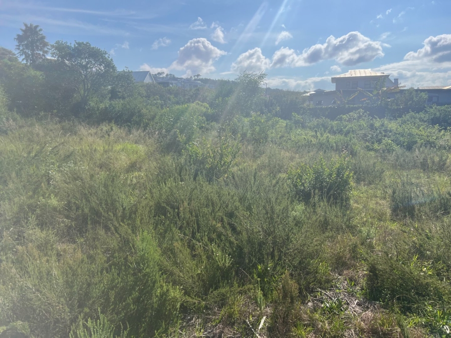 Commercial Property for Sale in Whale Rock Western Cape